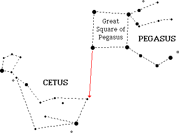 Cetfind.gif (1866 bytes)