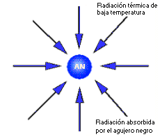 R. trmica